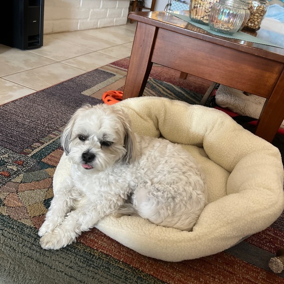 Meet your Posher, Ali! - Picture 10 of 12